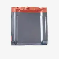 銀鱗（ギンリン）