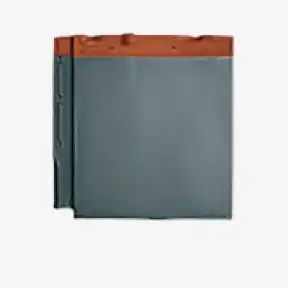 銀鱗（ギンリン）